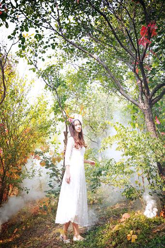 继续播放上次观看的短片内容