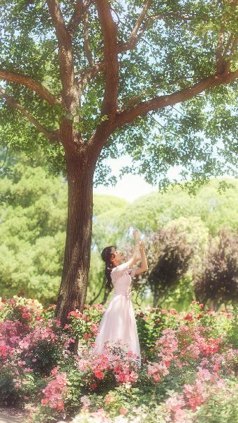 高压监狱在线观看