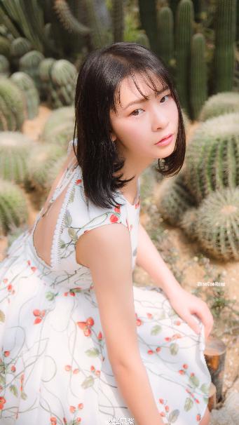 剑来第二季在线观看