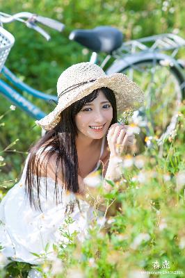 2026新澳正版资科免费实