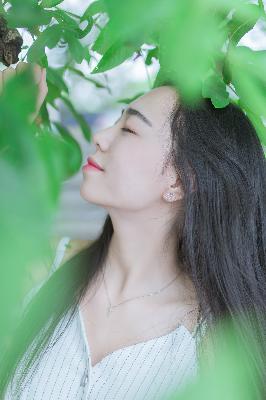 老牛影院在线播放免费高清电视剧