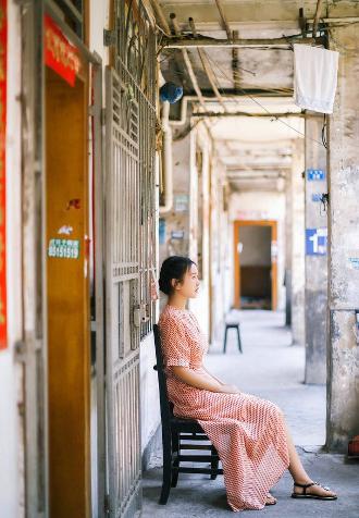 舍不得星星电视剧免费观看