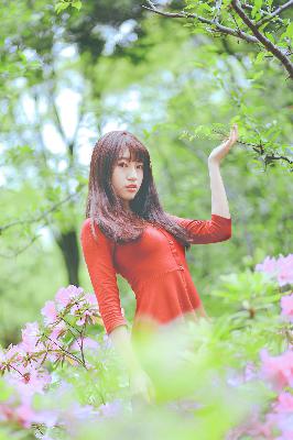 GOGOGO国语版免费播放