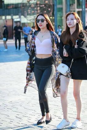 纵有疾风起电视剧免费完整版观看