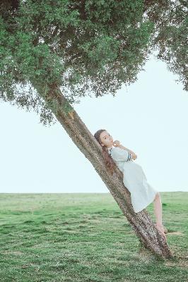 神墓免费观看全集完整版