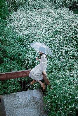 经典的欧美电影