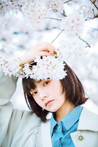 剑来第二季在线观看